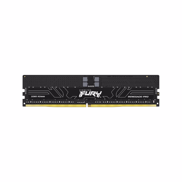Kingston Fury Renegade Pro Memory Kit, 16 GB (1x16 GB), DDR5 DRAM, 5600 MT/s, CL-28, 1 Year Warranty | KF556R28RBE-16